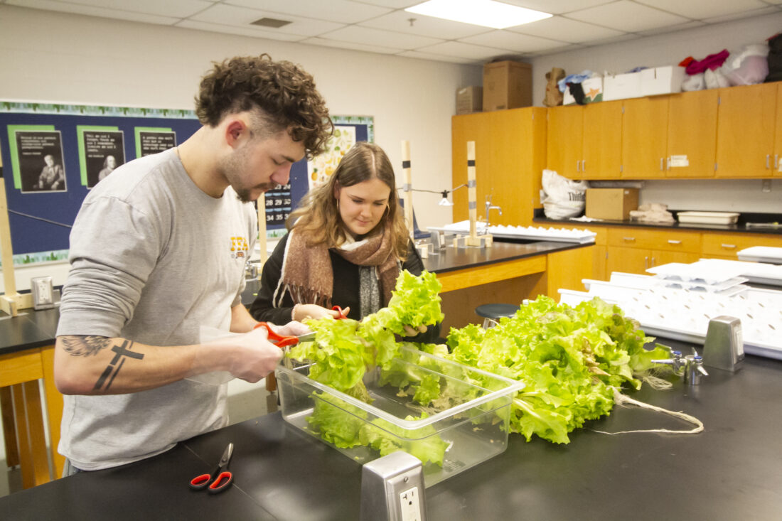 Gladstone students practice agriculture in pilot program